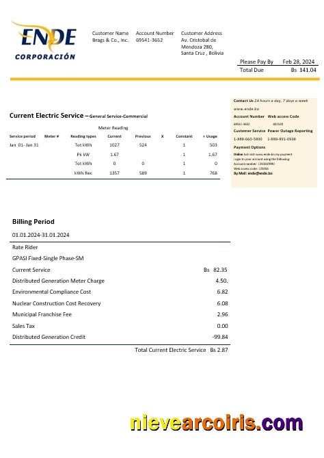 Bolivia ENDE Corporacion electricity business utility bill